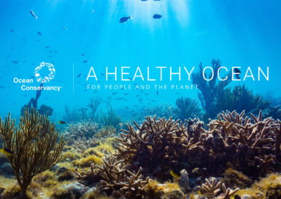 Ocean Conservancy: A Healthy Ocean For People and the Planet